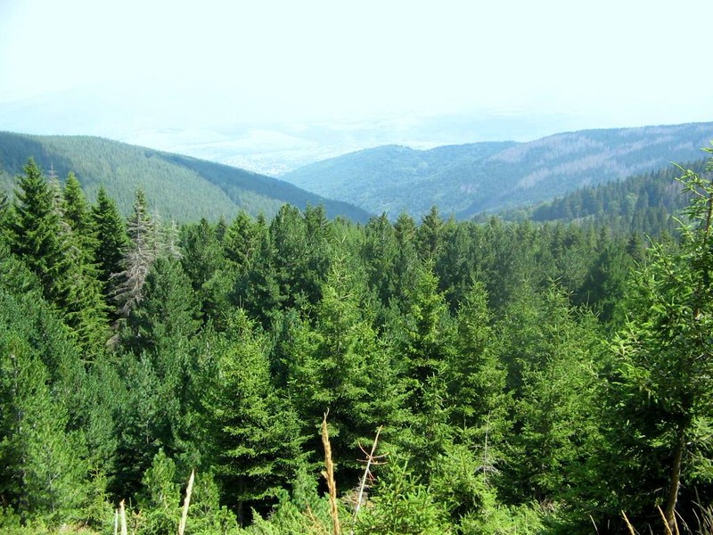 Parc naturel de Vitosha