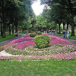 モスクワクレムリン