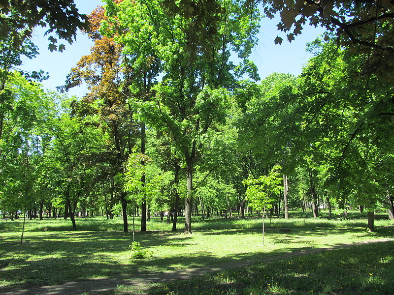 سميت الحديقة باسم شيفتشينكو