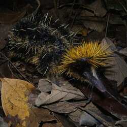 Parc national de Masoala