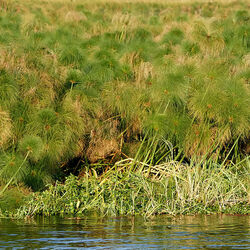 卡富埃国家公园