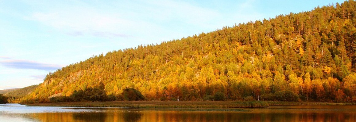 Національний Парк Лемменйокі