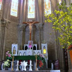 كاتدرائية نها ترانج