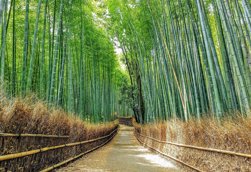 岚山