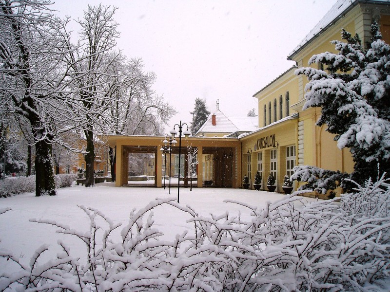 Курсалон