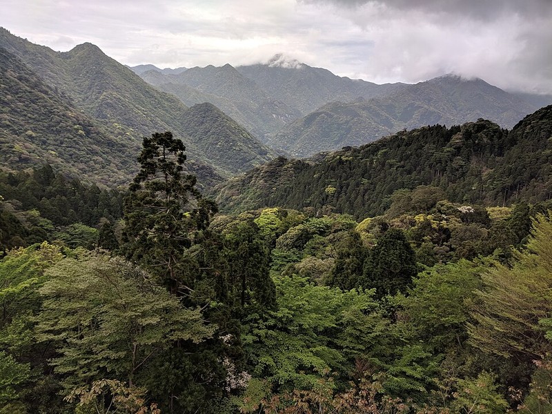 屋久島 - photo 12