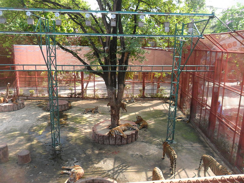 Тигровый зоопарк Сирача