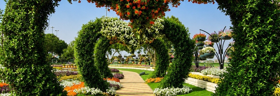 Al Ain Paradise