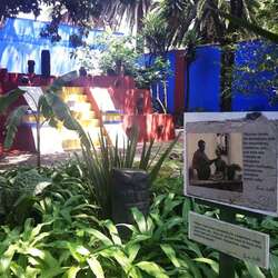 Frida Kahlo Museum
