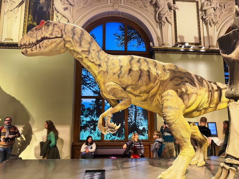 ウィーン自然史博物館