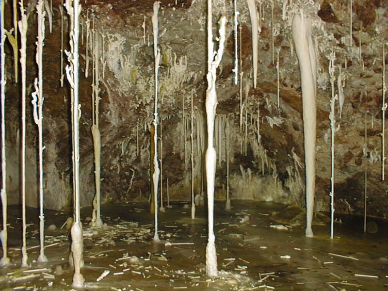 Печера Лечугія