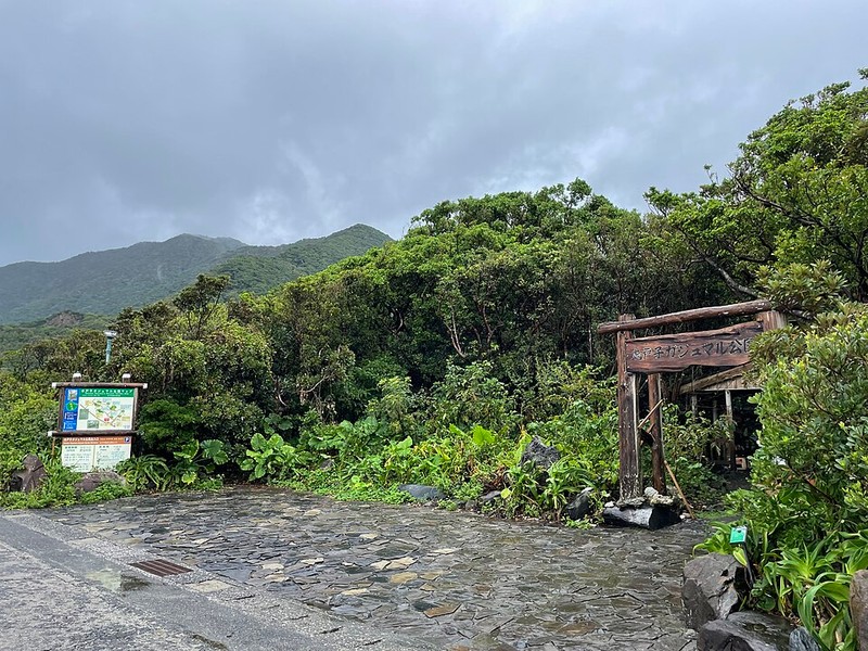 屋久島 - photo 13