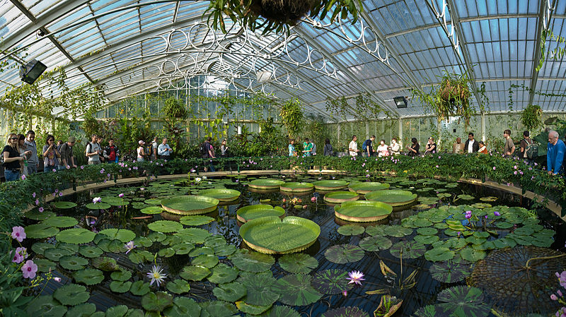 Jardins Botânicos Reais de Kew