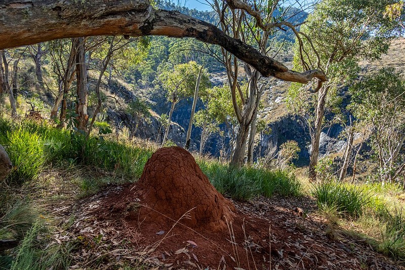 Kosciuszko Nationalpark