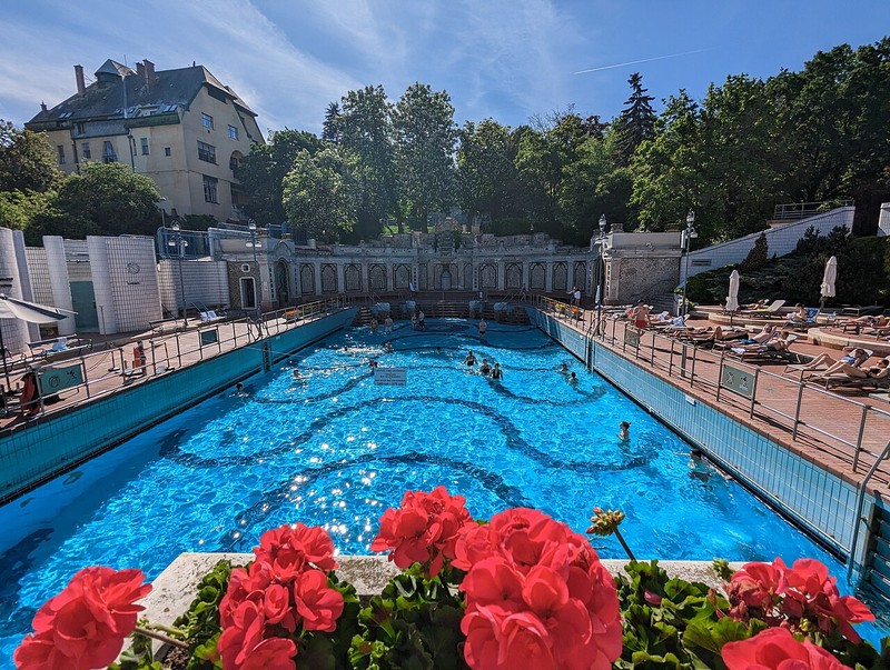 Baños Gellért - photo 15