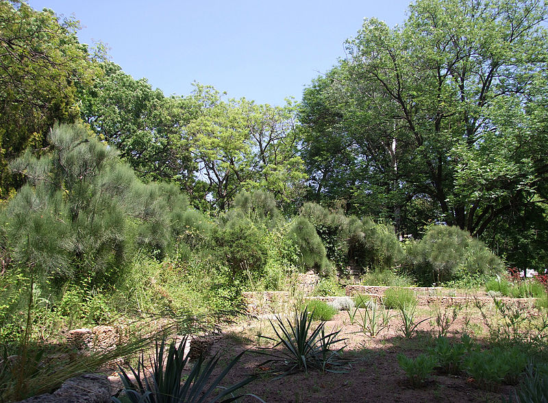 Одесский ботанический сад