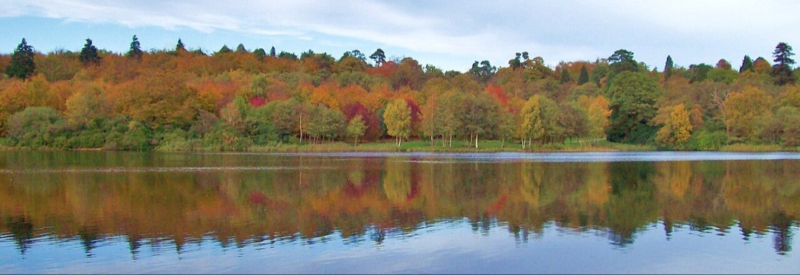 Windsor Great Park