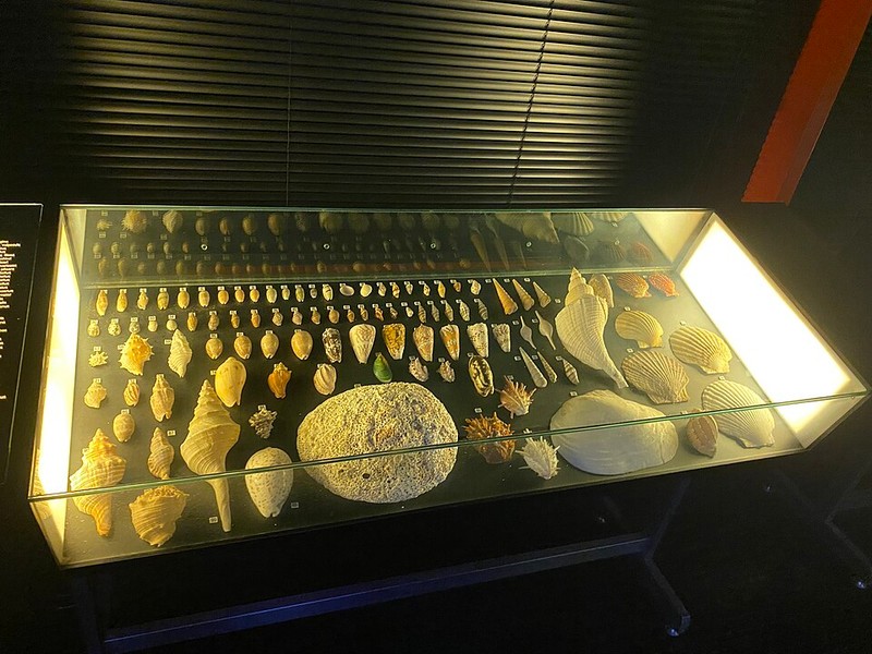 متحف ماكاو البحري - photo 8