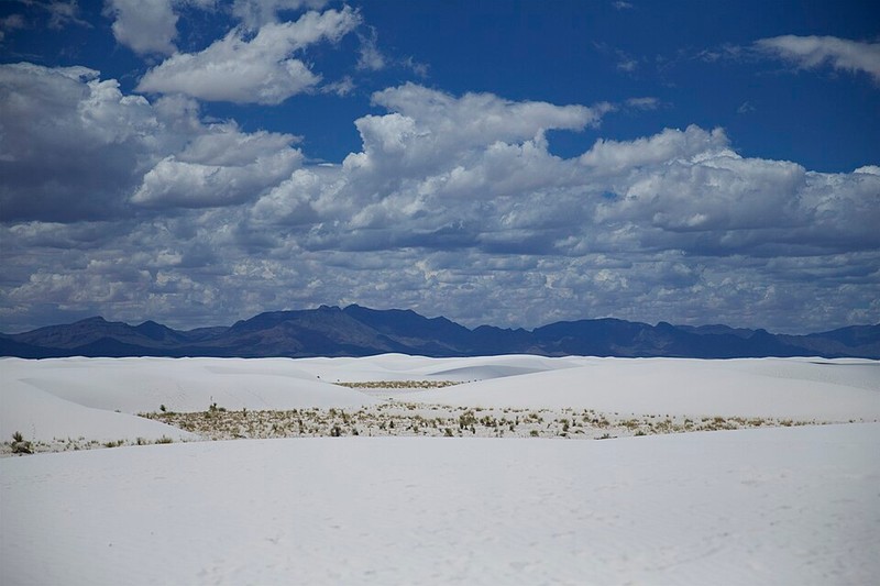 National Park White Sands - photo 14