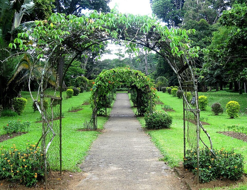 Jardim Botânico Real de Peradeniya
