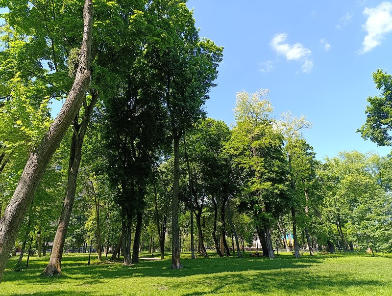 Mariinsky Park