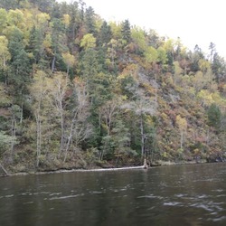 阿纽斯基国家公园