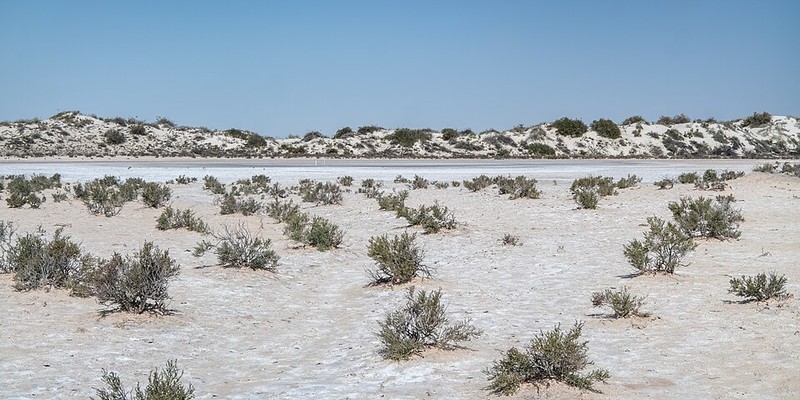 National Park White Sands - photo 15