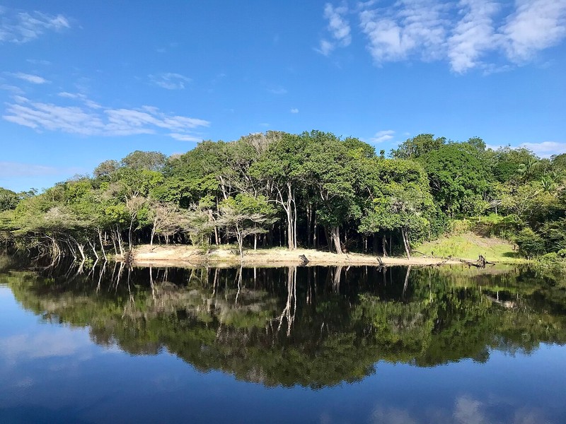 Jaú National Park