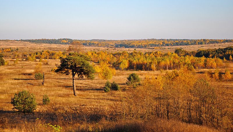 Parque Nacional Yavorovsky