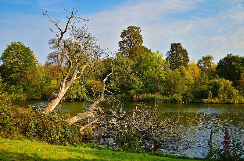 Jardins de Kensington