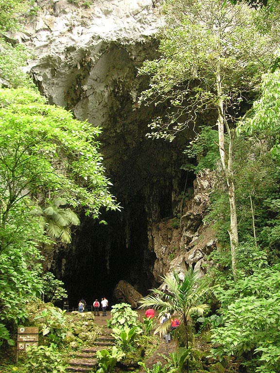 Nationalpark El Guácharo