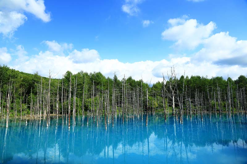 Blue pond Biei