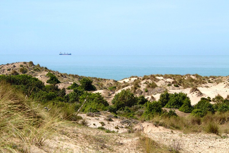Doñana National Park