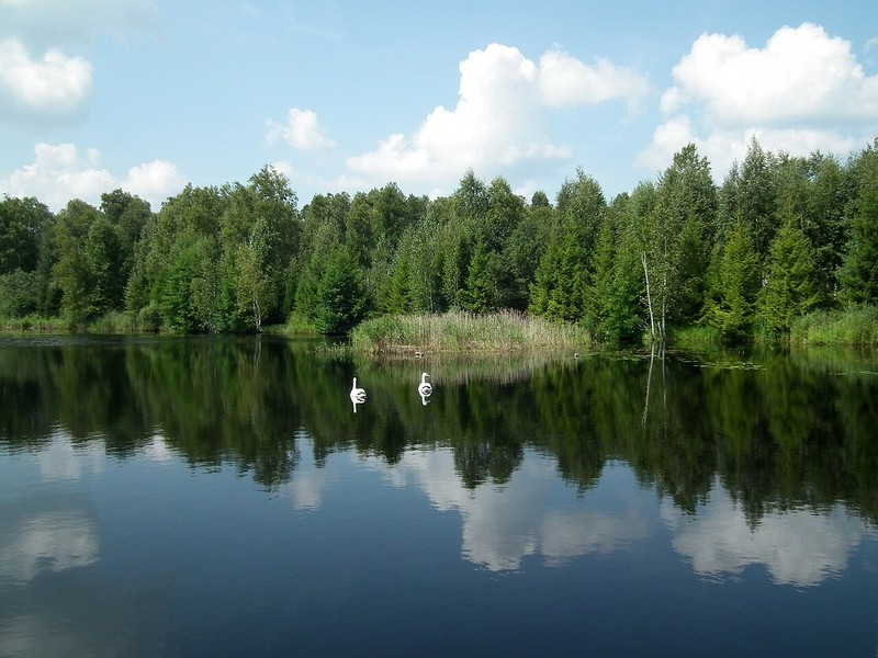Національний Парк Орловське Полесье