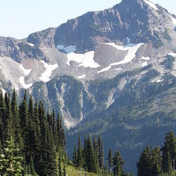 Parque Nacional do Monte Rainier