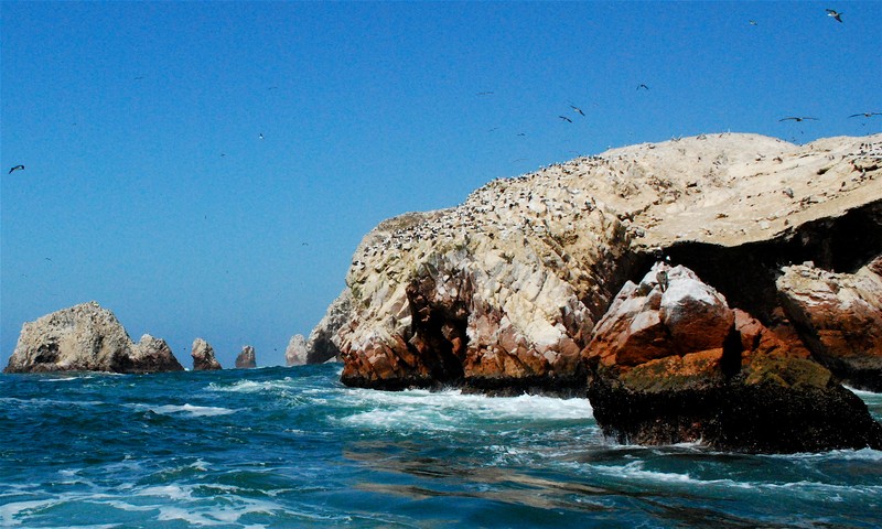 Ballestas-Inseln