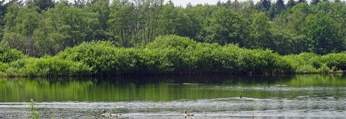 Parc national de Dwingelderveld