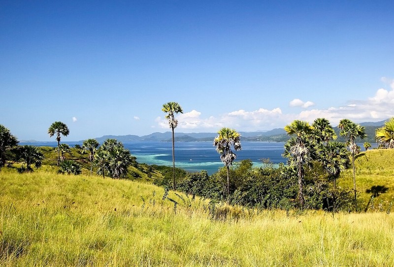 Insel Flores