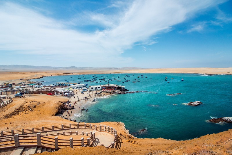Réserve nationale de Paracas