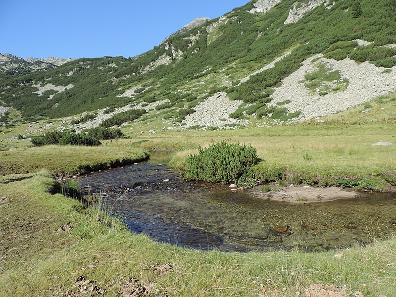 Parc national de Pirin