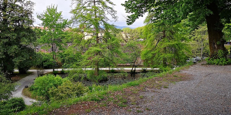 卢卡植物园 - photo 10