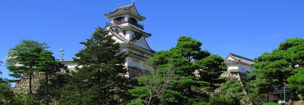 Kochi Castle