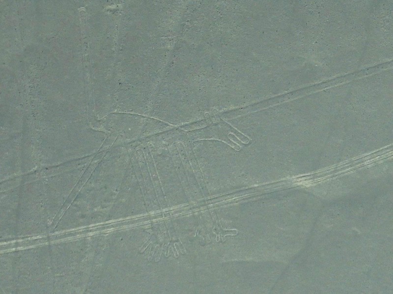 Lignes de Nazca