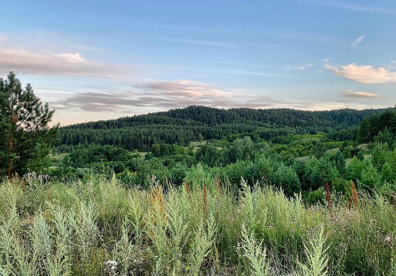 Khvalynsky National Park