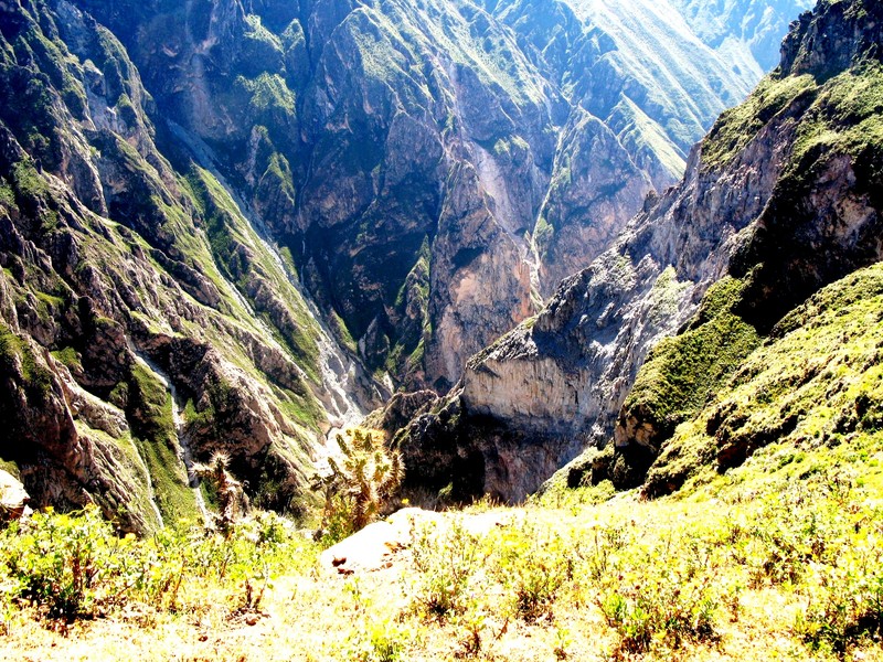 Canyon de Colca
