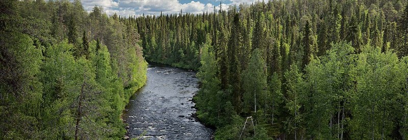 Oulanka National Park