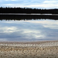 ウッド・バッファロー国立公園