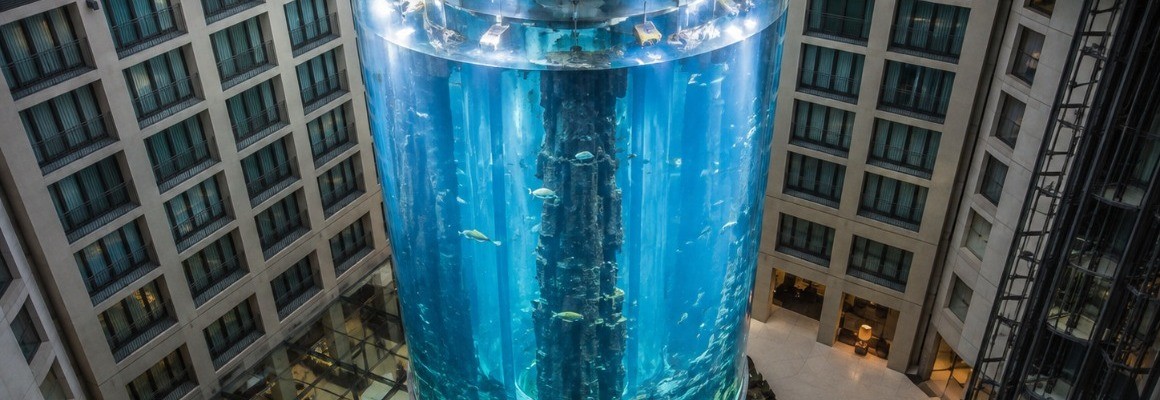 AquaDom