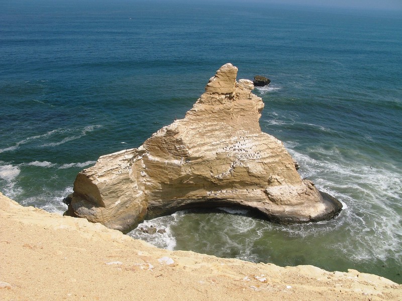 Réserve nationale de Paracas