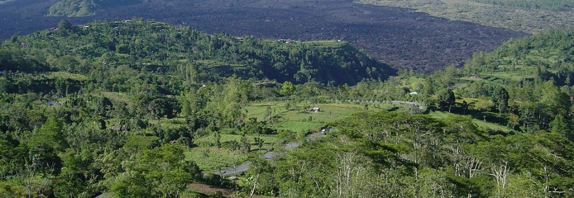 Bali